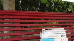 Livres sur un banc