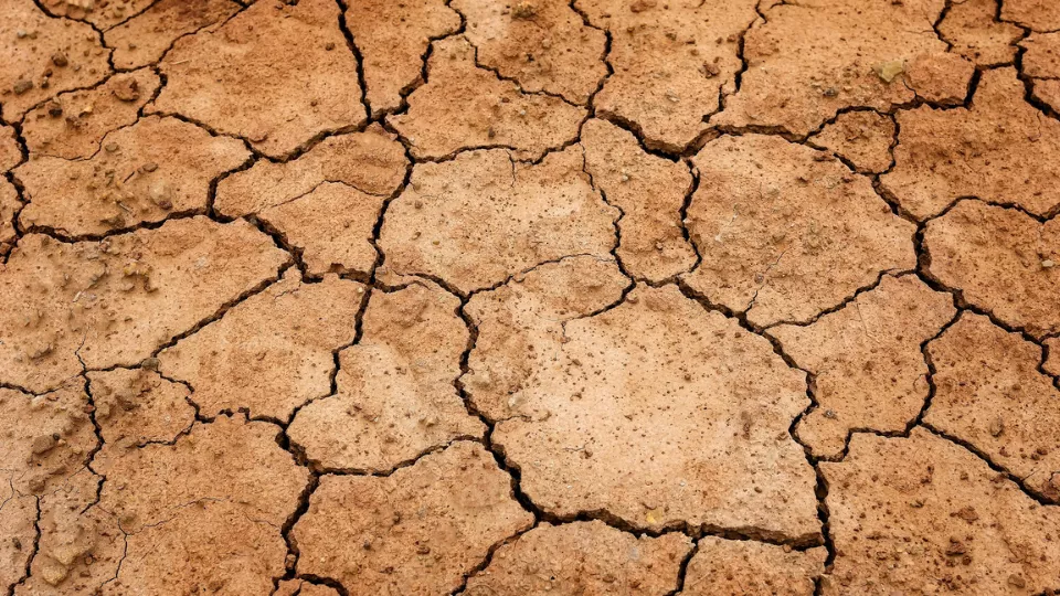Nach der Dürre: Nachhaltigkeitspolitik in Frankreich